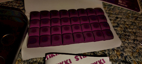 Couple on a bed with a dog